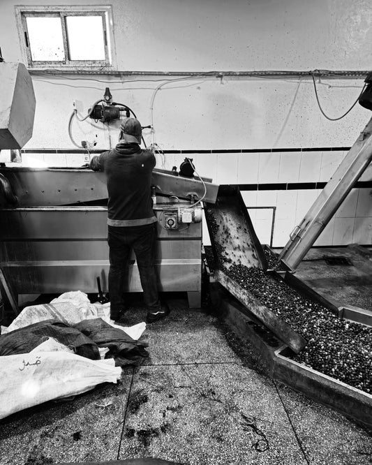 Van familieverhaal naar pure olijfolie: de missie van Pressed & Pure